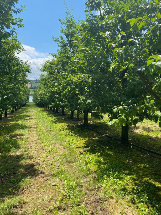 Gite La Garrigue Montbarla Екстер'єр фото